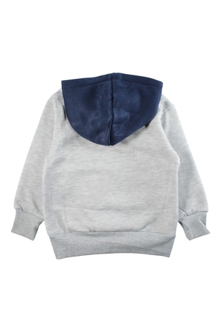 Sweat à capuche Avengers Marvel - Gris