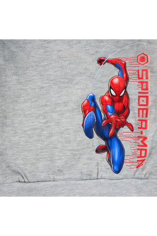 Sweat à capuche Spider-Man Avengers Marvel - Gris