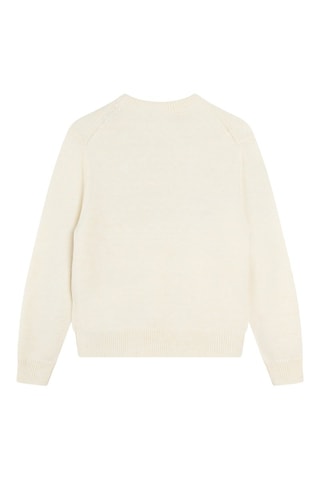 Jersey de lana - Crudo - Zadig