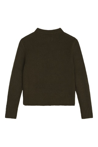 Jersey de lana - Caqui - Zadig