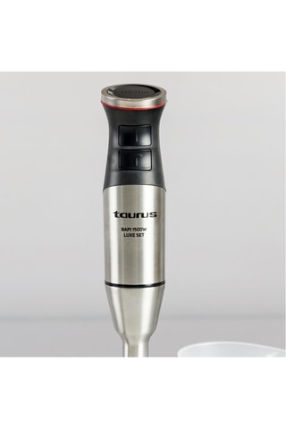 Frullatore a immersione in acciaio inossidabile - 1500 W - Argentato e nero