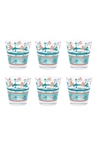 6 vasos Primula - 25 cl