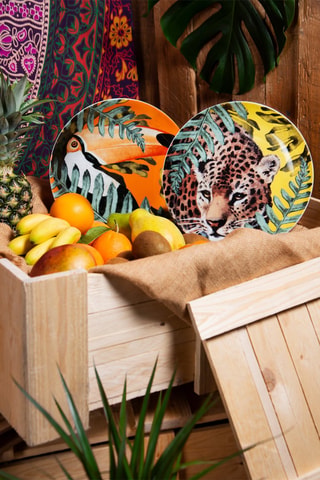 Vajilla de porcelana Madagascar Color - 18 piezas