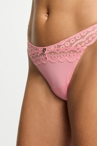 Tanga Sandra - Rose