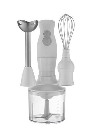 Mixeur plongeur - 500 ml - 250-300 W - Blanc et gris
