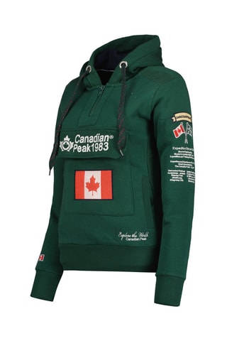 Sweat à capuche Gyrelle - Vert