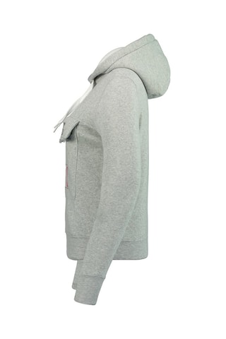 Sweat à capuche Gadreak - Gris