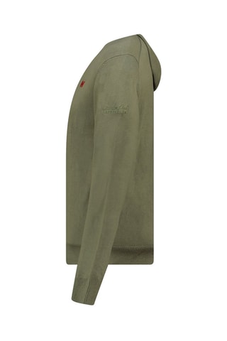 Gilet à capuche Felinoodeak - Vert