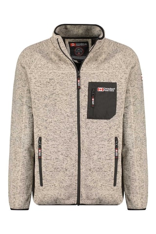 Sweat Titleak - Gris