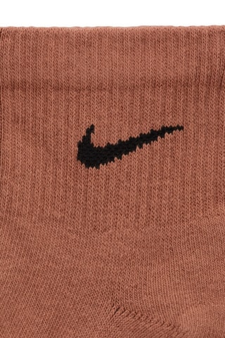 3 paires de chaussettes d’entraînement Everyday - Marron