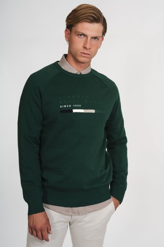 Jersey regular fit - Verde