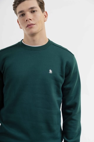 Sudadera regular fit - Verde