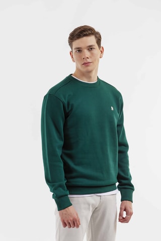 Sudadera regular fit - Verde