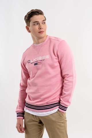 Sudadera regular fit - Rosa