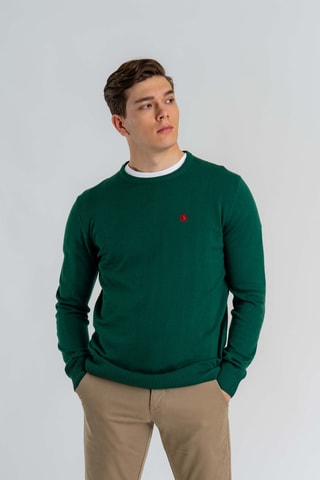 Jersey regular fit - Verde