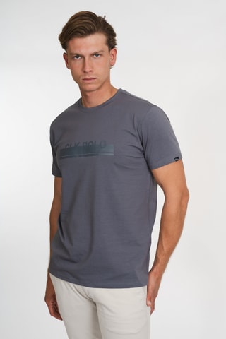 Camiseta regular fit - Gris
