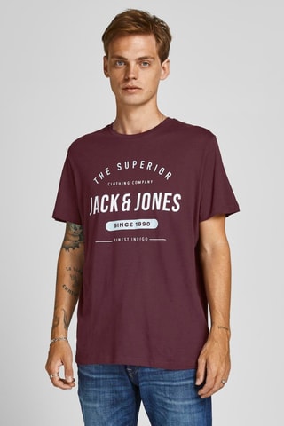 5 t-shirts - Blanc et gris