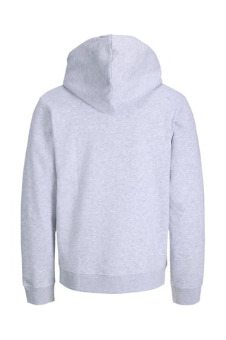 Sweat à capuche - Gris clair
