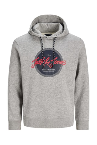 Sweat à capuche - Gris clair