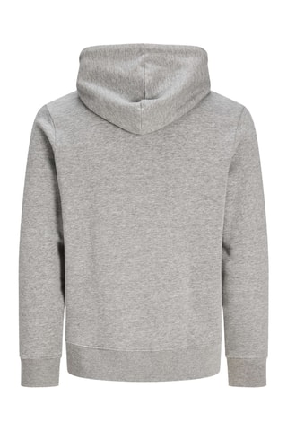 Sweat à capuche - Gris clair