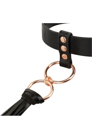 Collier avec fouet - Noir