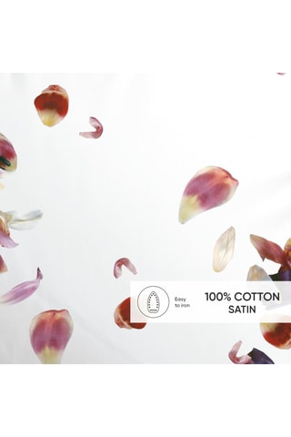 2 taies d'oreiller en satin de coton 80 fils/cm² Aurore - Blanc