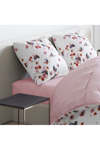 2 taies d'oreiller en satin de coton 80 fils/cm² Aurore - Blanc