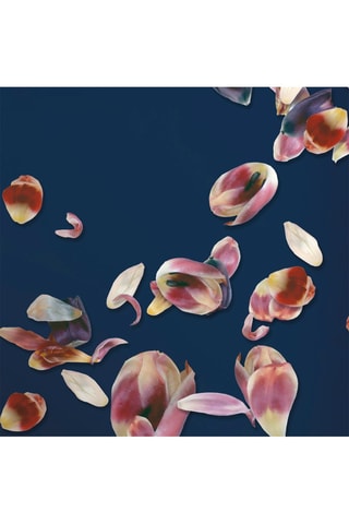 Taie d'oreiller en satin de coton 200 fils/cm² Aurore - Rose et bleu marine