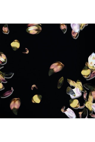 2 taies d'oreiller en satin de coton 200 fils/cm² Aurore - Noir et jaune
