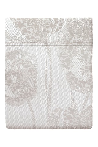 Drap plat en satin de coton 80 fils/cm² Lace - Taupe