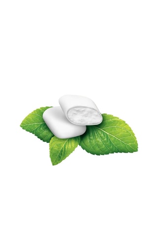 Boîte de Starmint - 750 g