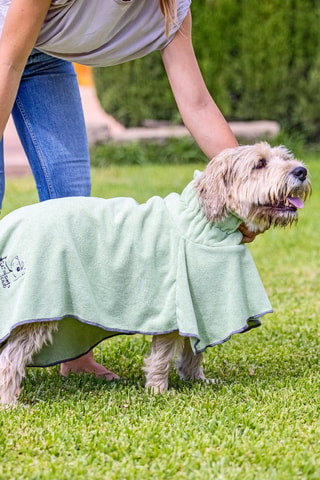 Serviette pour chien - Noir et vert