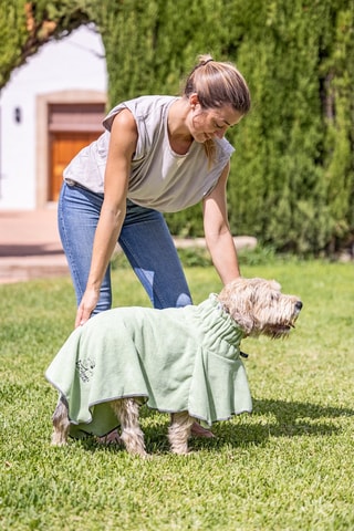 Serviette pour chien - Noir et vert