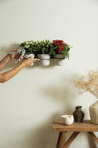 Jardinière murale en farine de bambou - 43 x 16 x 15 cm - Gris clair et vert clair