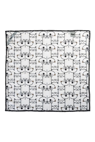 12 chiffons pour animaux - 38 × 38 cm