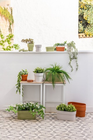 2 pots en farine de bambou - Gris clair