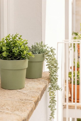 2 pots en farine de bambou - Vert