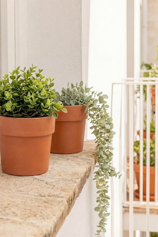 2 pots en farine de bambou - Marron