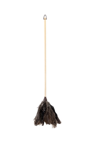 Plumeau en plumes d’autruche et bois - 9 x 8 x 74 cm