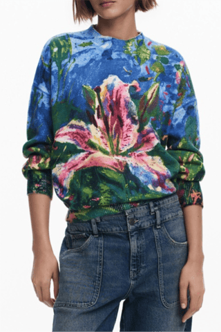 Pull - Multicolore