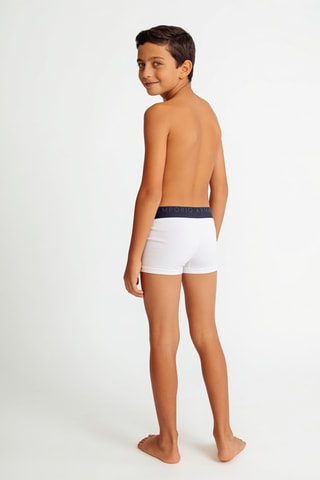 Boxer - Blanc