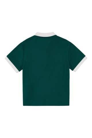 Polo - Vert foncé
