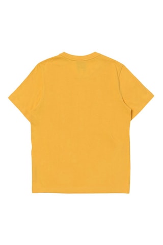 T-shirt - Jaune - Emporio Armani