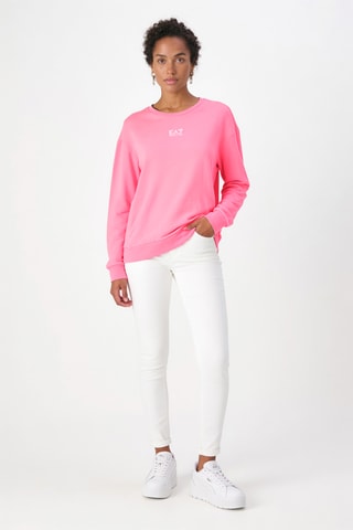 Sweat - Rose