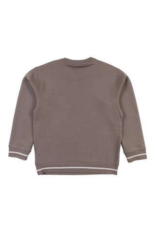 Sweat - Taupe - Emporio Armani