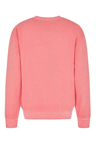 Sweat - Rose
