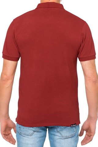 Polo regular Stoney - Bordeaux et kaki