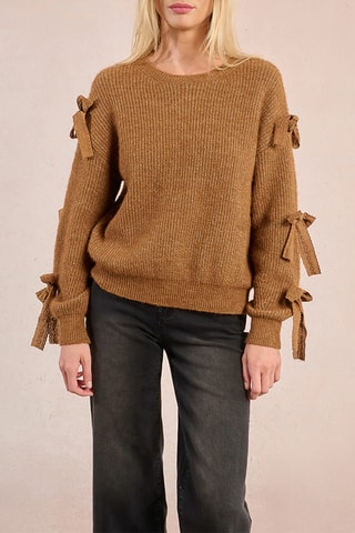 Pull - Camel - Molly Bracken