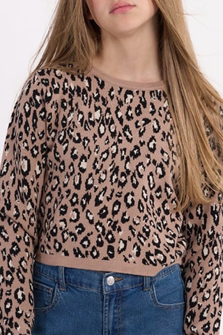 Pull - Beige - Girl