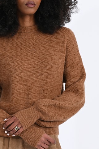 Pull - Camel - Molly Bracken